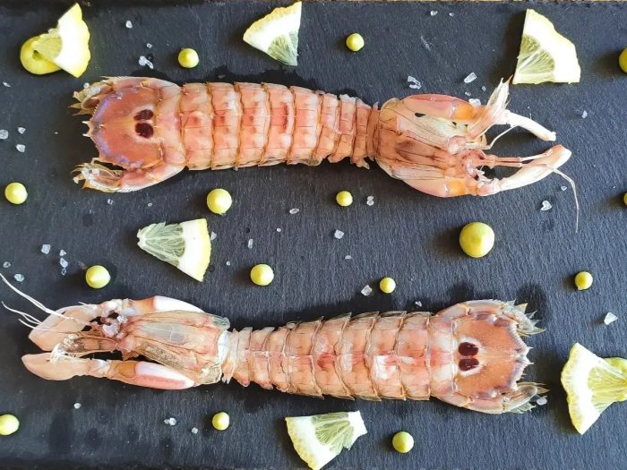 Canocchie al “Sale di Cervia”